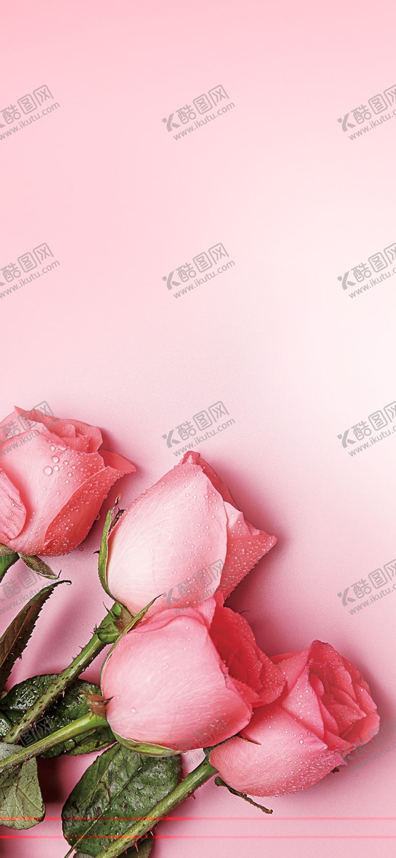 编号：51336507041440509764【酷图网】源文件下载-手机壁纸