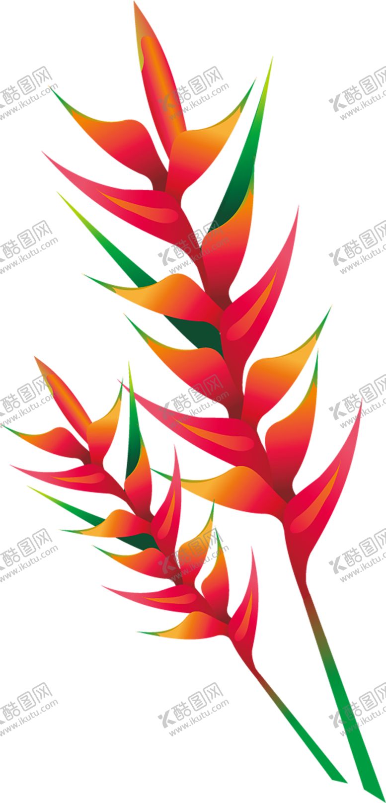 编号：27632807060645444164【酷图网】源文件下载-绿色相框