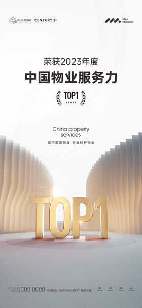 TOP1海报