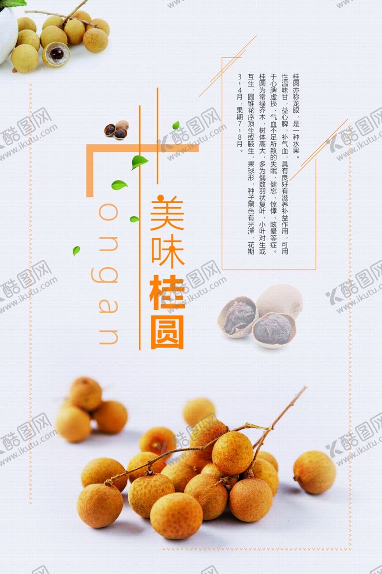 编号：20861410060404173250【酷图网】源文件下载-桂圆