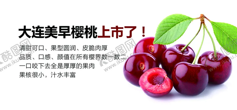 编号：42306109301207324580【酷图网】源文件下载-大连美早樱桃