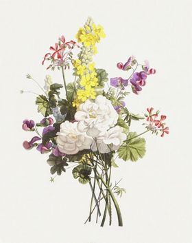 复古色调植物花朵绘画
