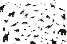 动物图案