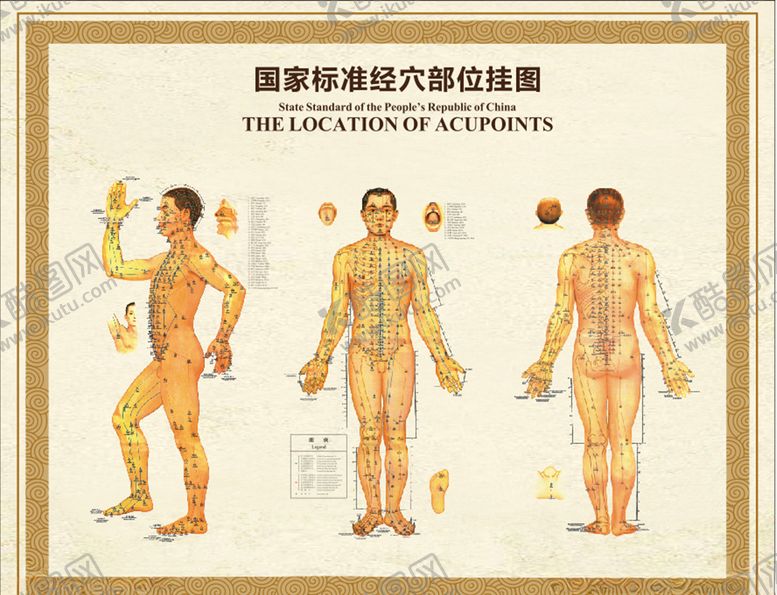 编号：74172710081433531458【酷图网】源文件下载-标准经穴部位图