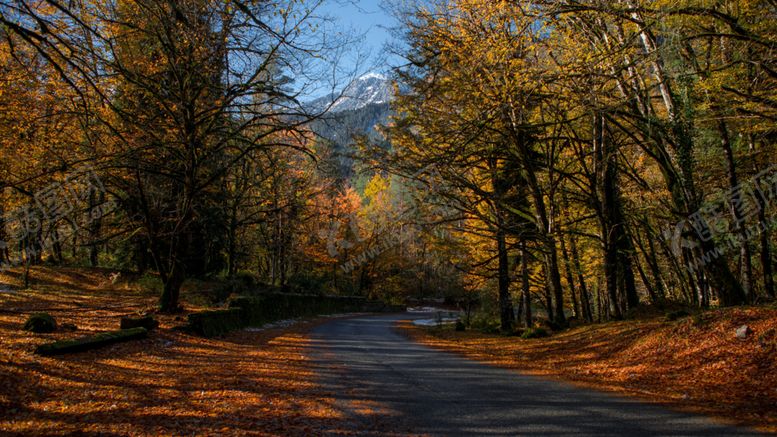 编号：64765111010830019612【酷图网】源文件下载-森林树木小路风景天空