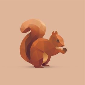 松鼠