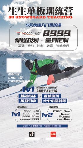 滑雪单板海报