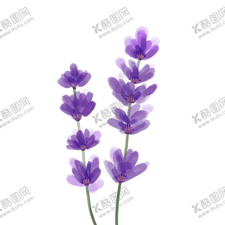 编号：60359102112046047078【酷图网】源文件下载-手绘风格水彩风薰衣草