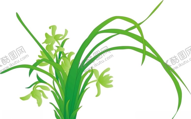 编号：77463410311356277515【酷图网】源文件下载-兰花