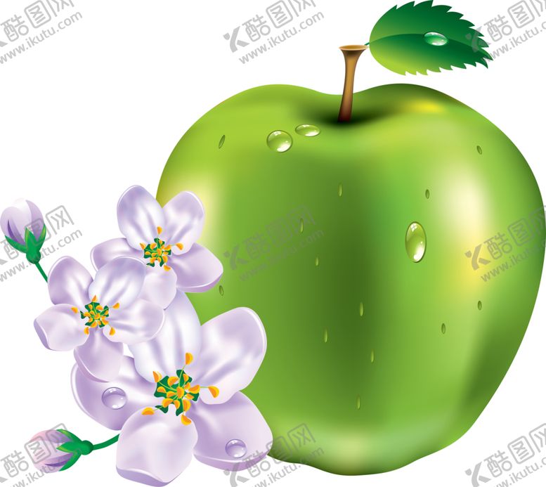 编号：82660107070325547298【酷图网】源文件下载-苹果