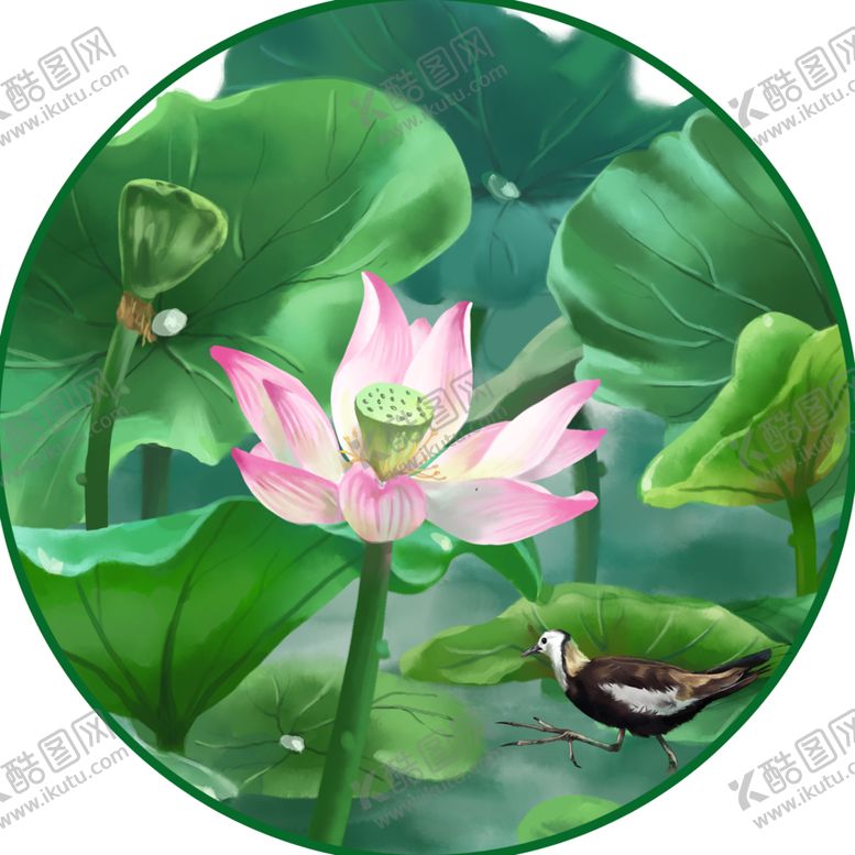 编号：95737805042353352083【酷图网】源文件下载-荷花元素