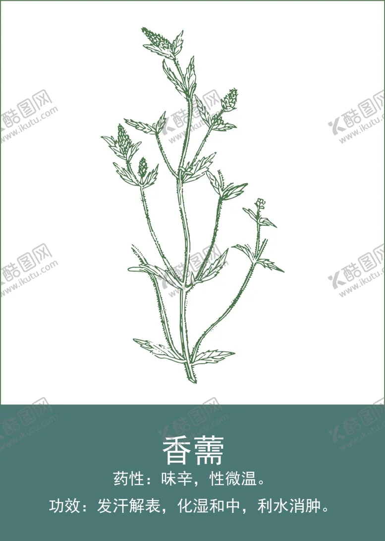 编号：38901901140925398991【酷图网】源文件下载-中药手绘插画