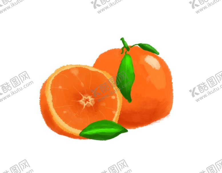 编号：67263207081524076708【酷图网】源文件下载-水果柑橘插画