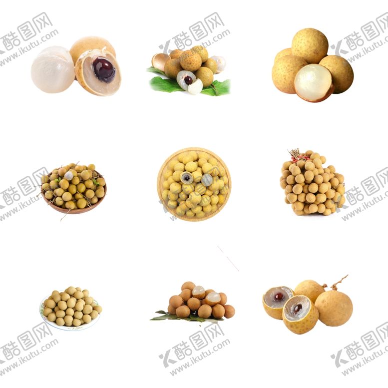 编号：44706607062209083772【酷图网】源文件下载-桂圆