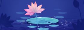 国画荷花