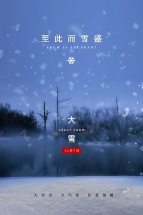 大雪海报