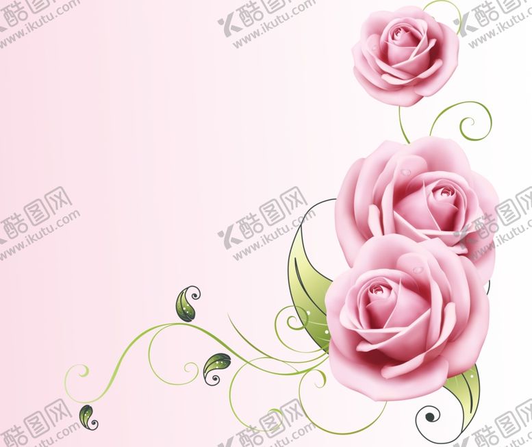 编号：64367809270449412731【酷图网】源文件下载-玫瑰花