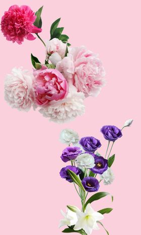 花朵粉色花花儿