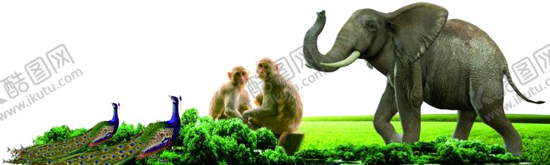 编号：67386704171931183399【酷图网】源文件下载-大象猴子孔雀拍照异型背景板