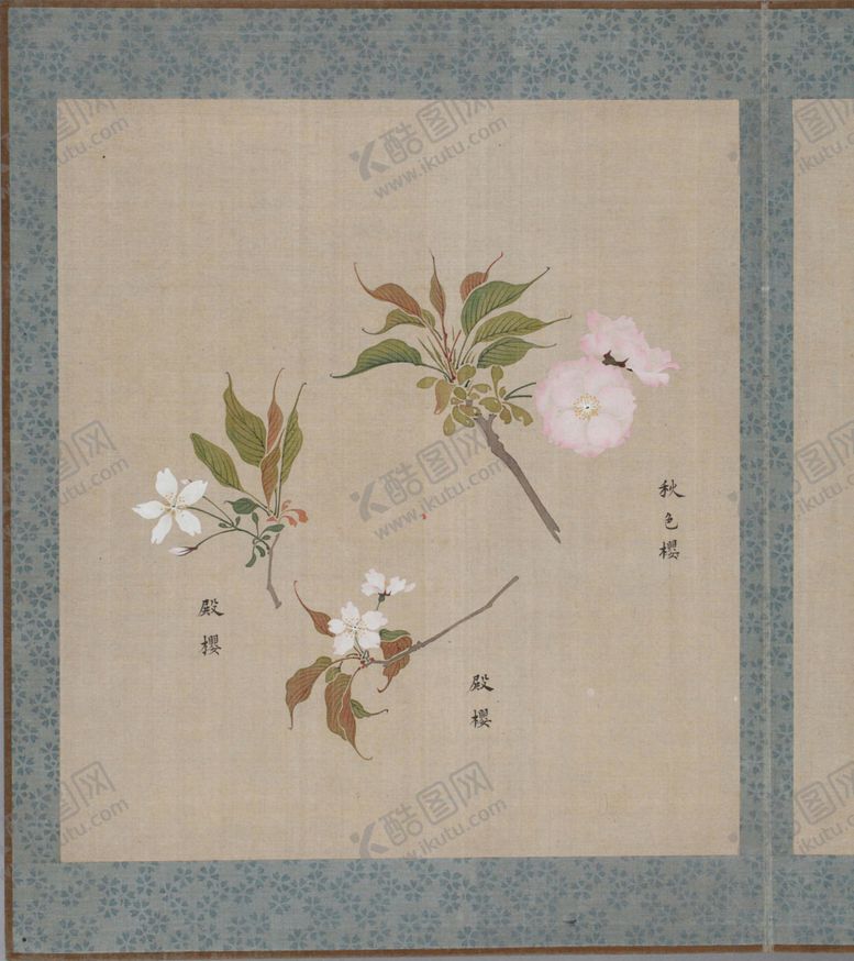 编号：28476404252333445582【酷图网】源文件下载-樱花