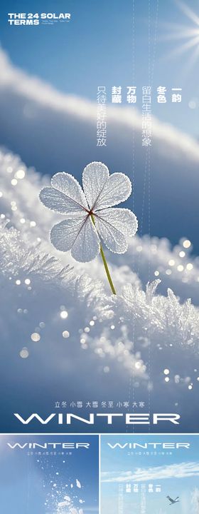 立冬大雪小雪冬至小寒大寒节气系列海报