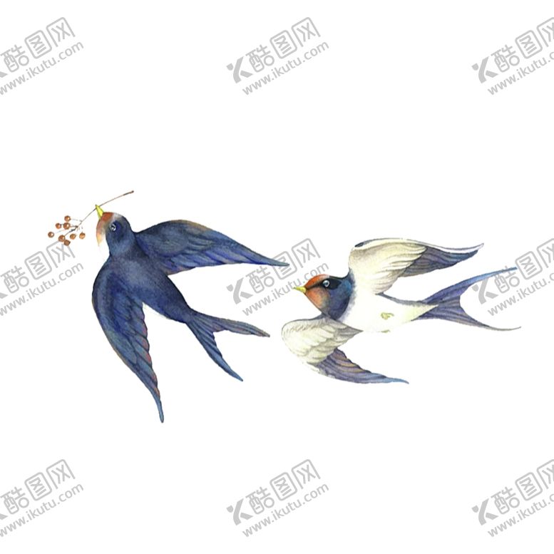 编号：26039610131951567511【酷图网】源文件下载-衔着果子的小鸟素材