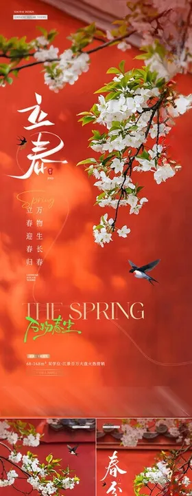 地产立春春分红墙花卉海报