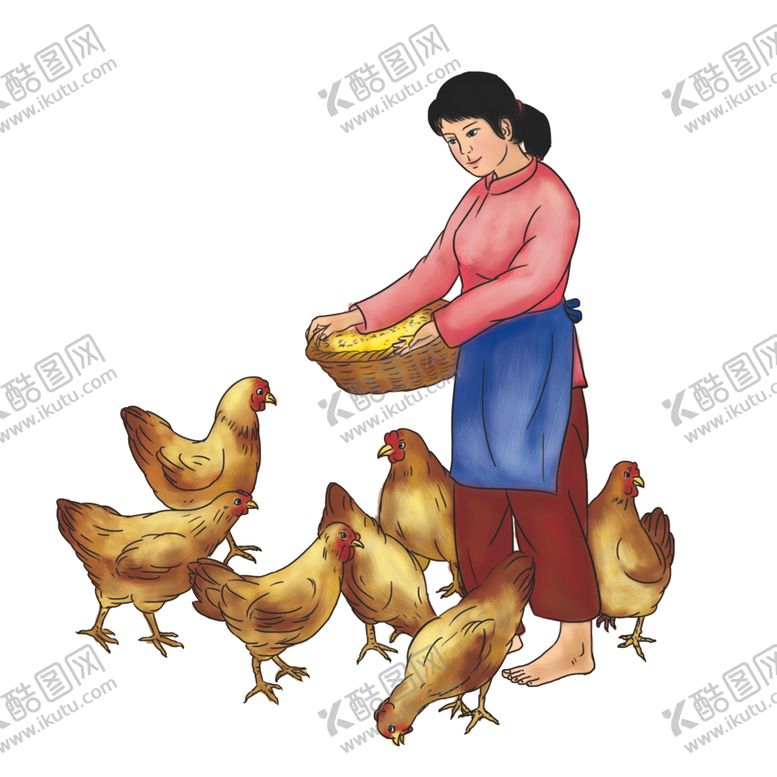 编号：36760709091035493333【酷图网】源文件下载-线描散养土鸡