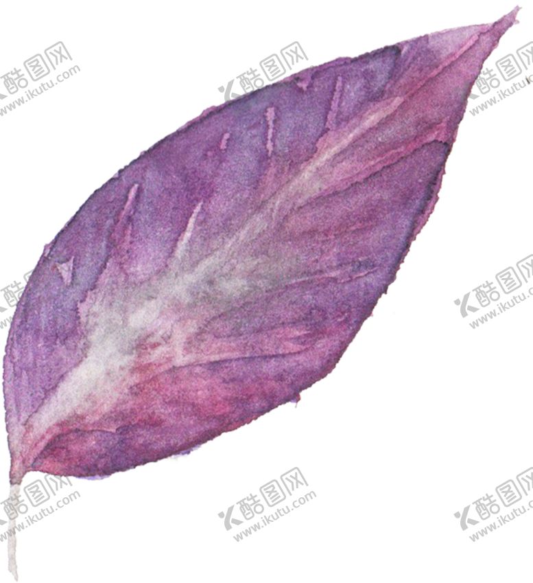 编号：31069010190710235897【酷图网】源文件下载-花卉