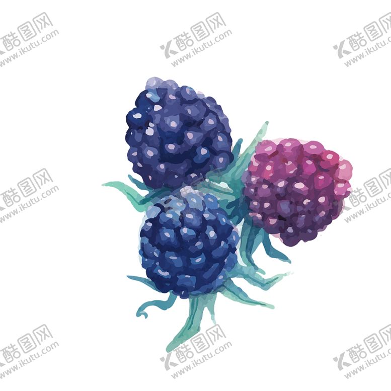 编号：53028309162121009828【酷图网】源文件下载-水果