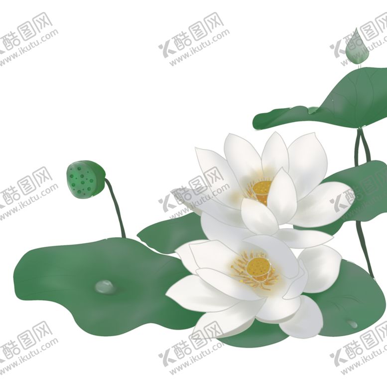 编号：62651005020514112171【酷图网】源文件下载-荷花元素