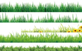 绿草地