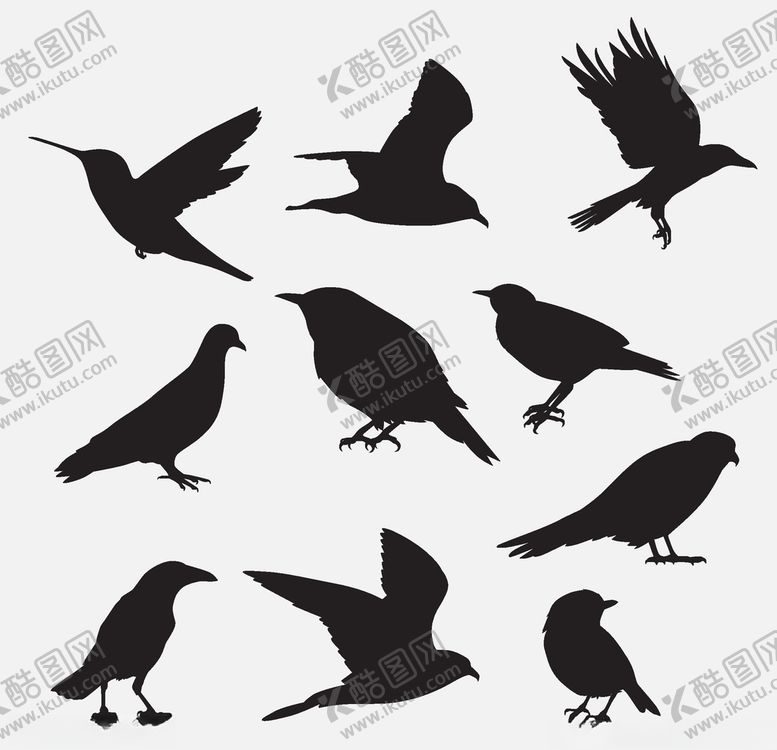 编号：85271909211450513816【酷图网】源文件下载-鸟剪影