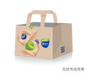布袋效果图样机