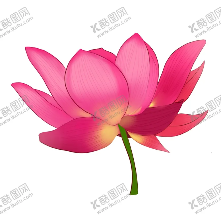 编号：25253405050525358031【酷图网】源文件下载-荷花插画素材