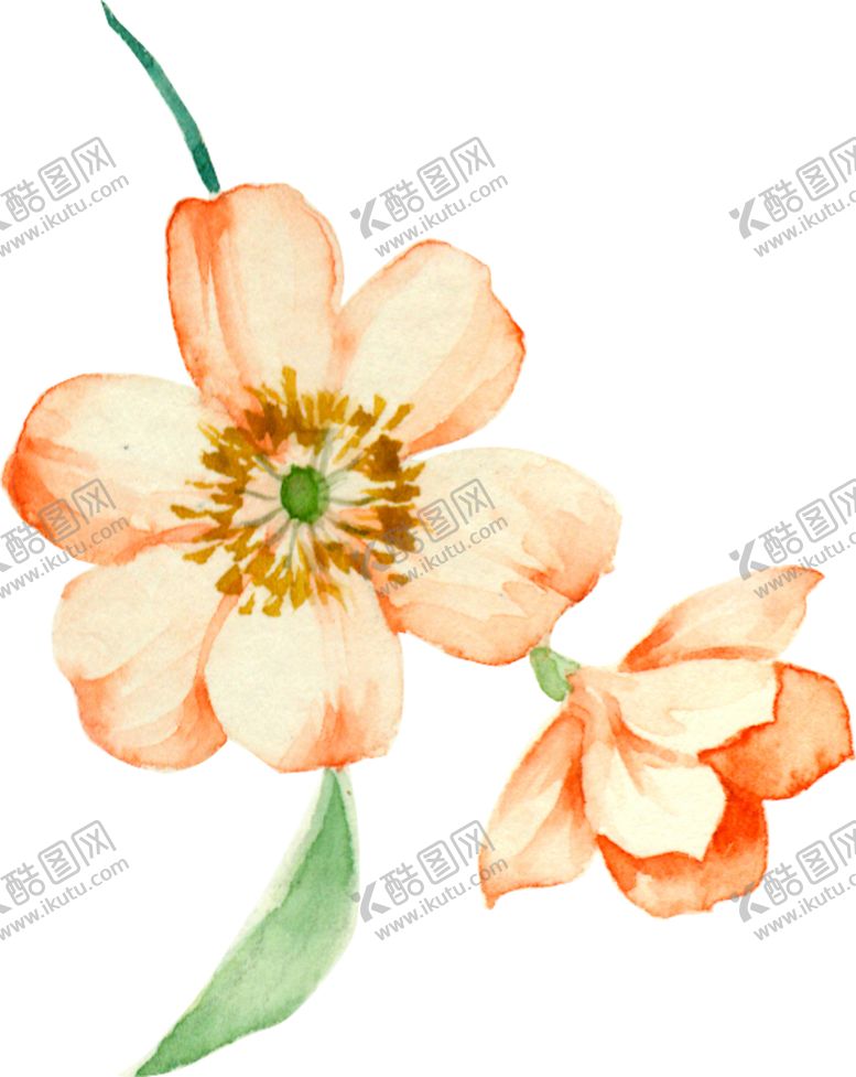 编号：73182605092247502943【酷图网】源文件下载-手绘花素材