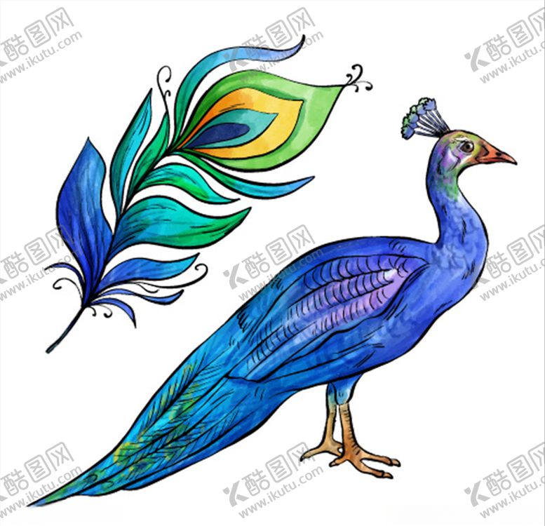 编号：88555910141445393158【酷图网】源文件下载-孔雀