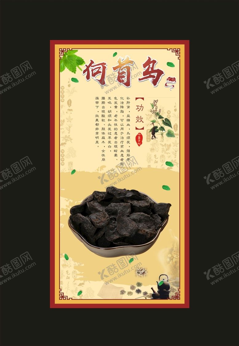 编号：57092810120442057063【酷图网】源文件下载-何首乌海报