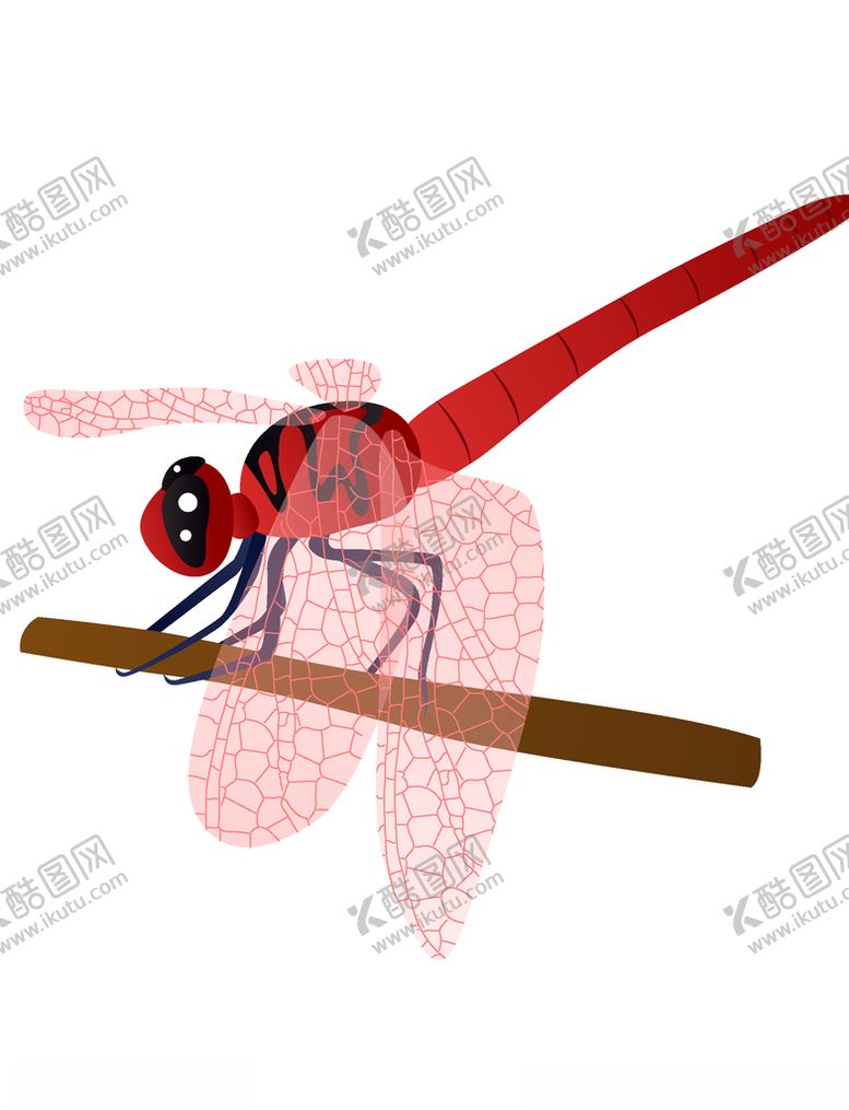 编号：50820304071408242419【酷图网】源文件下载-粉色的美丽蜻蜓