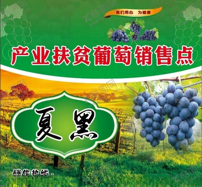 编号：69625602170416315742【酷图网】源文件下载-葡萄销售点