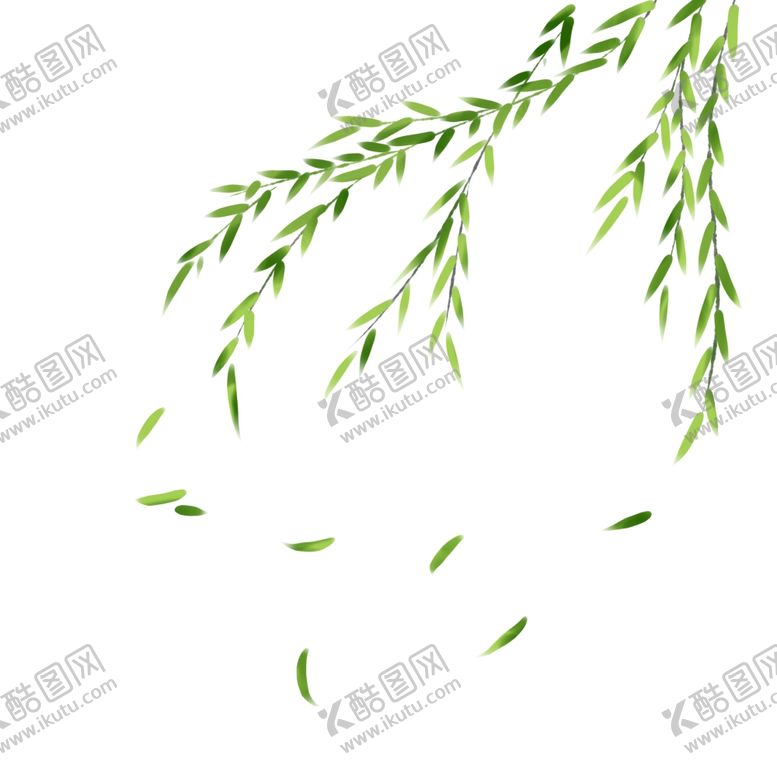 编号：96655610130842479351【酷图网】源文件下载-柳树