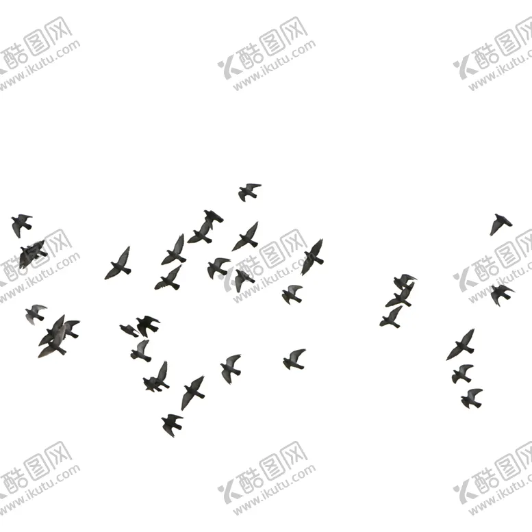 编号：84306006251105064054【酷图网】源文件下载-飞翔的鸽子