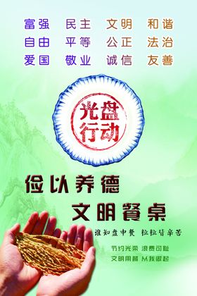海报光盘行动
