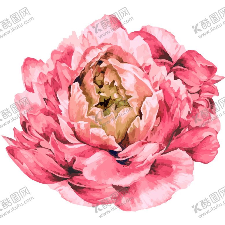 编号：88010809110008303331【酷图网】源文件下载-牡丹花