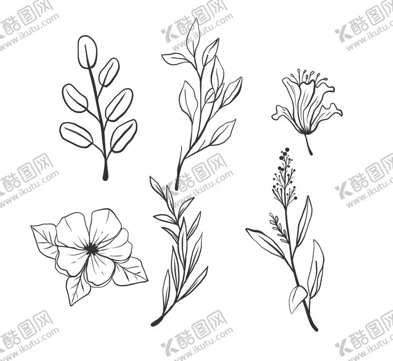 编号：97511402270931479154【酷图网】源文件下载-黑白线描花卉树叶矢量元素