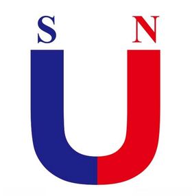 矢量U型磁铁