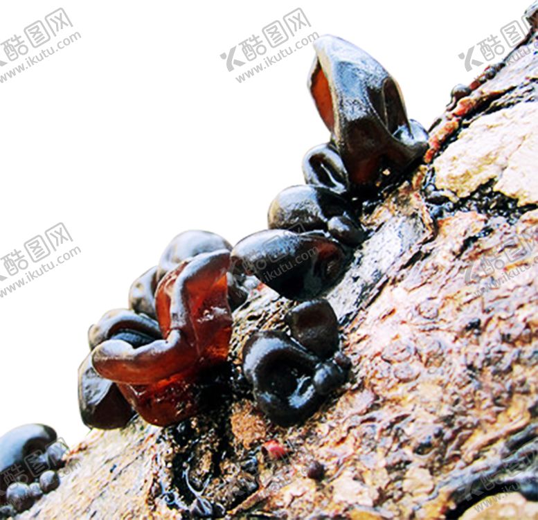 编号：35581809230120023873【酷图网】源文件下载-木纹素材