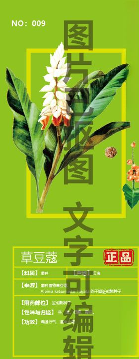 草豆蔻