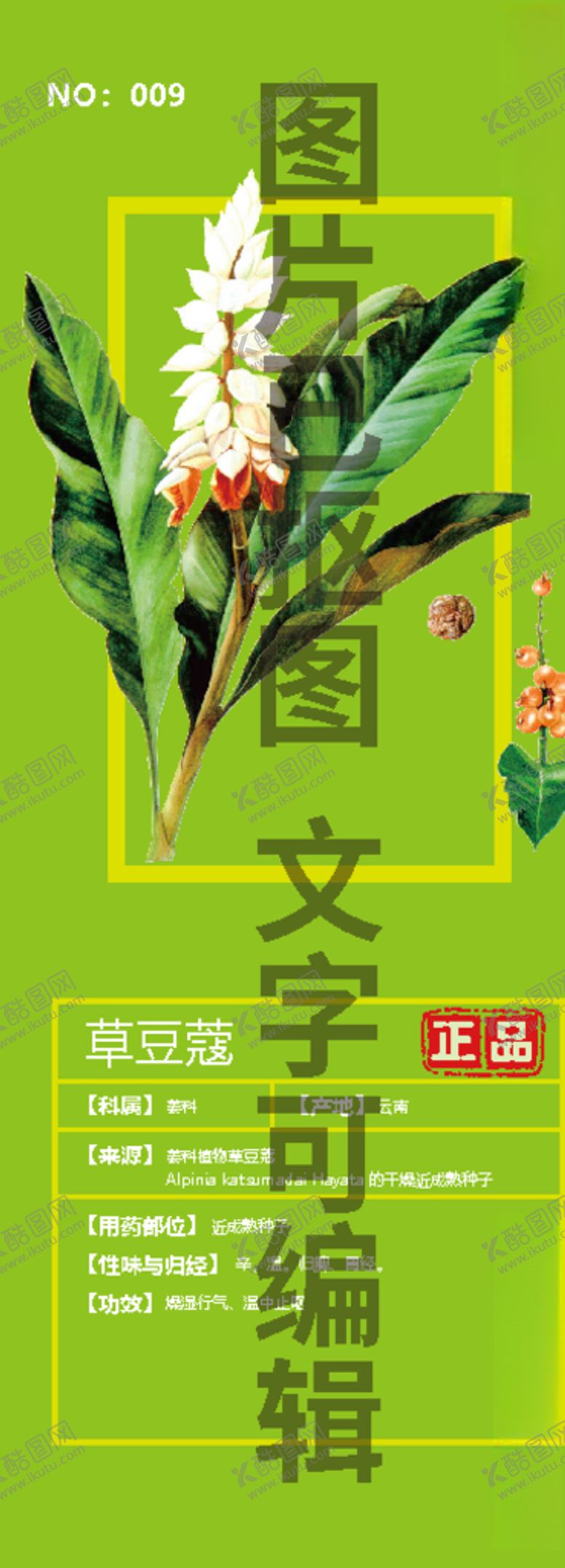 编号：10958205181448305669【酷图网】源文件下载-草豆蔻