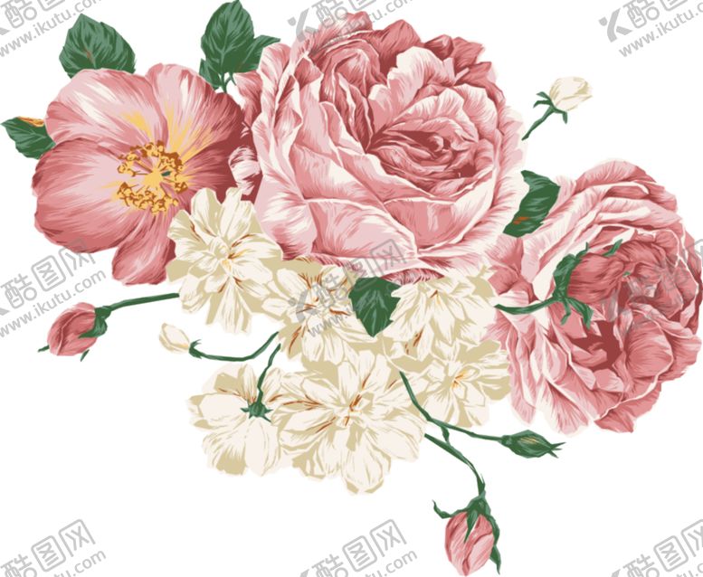 编号：99459809210243035219【酷图网】源文件下载-牡丹花